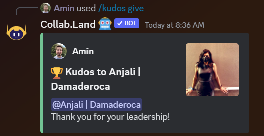 Kudos in a Discord server